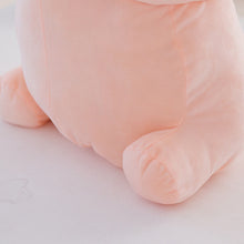 PeePee Pillow