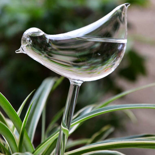 Self-Watering Plant Glass Bulbs