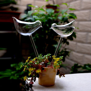 Self-Watering Plant Glass Bulbs